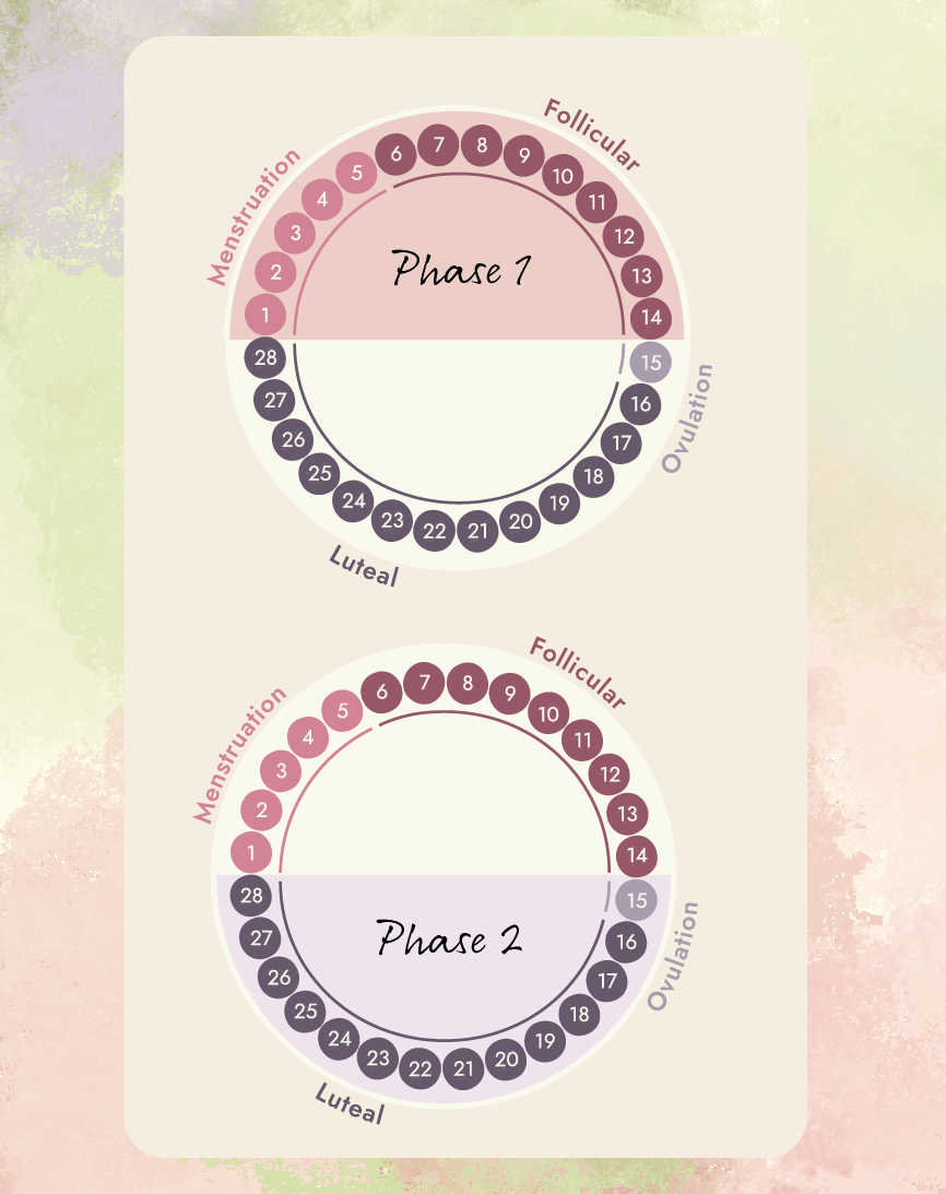 Artboard_111_0.75x_f04aaffd-ce3d-4dca-86e1-ede9a79e9689.png